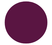 Karisma Titta Skating Top