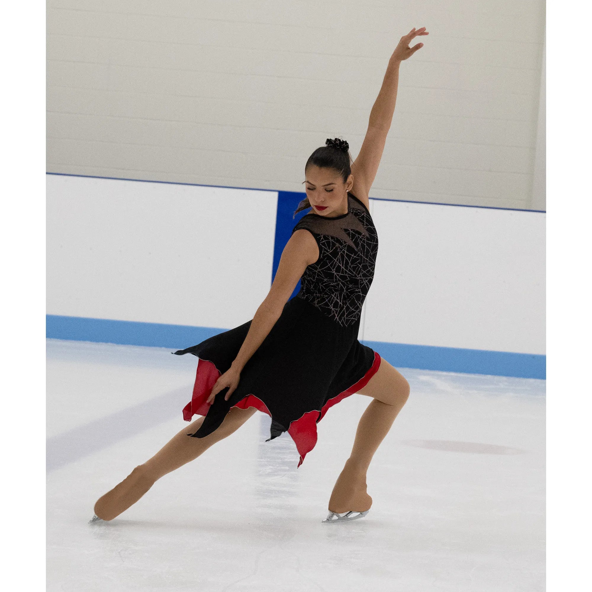 265 Skirt Capades Skating Dress by Jerry's