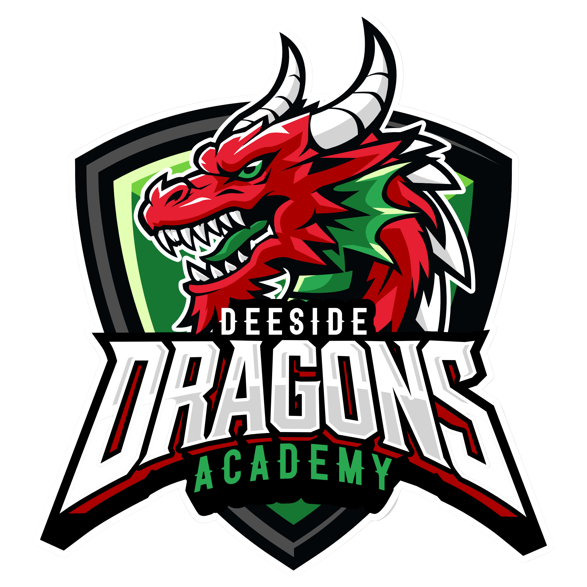 CCM Deeside Dragons Academy Team 1/4 Zip - Black